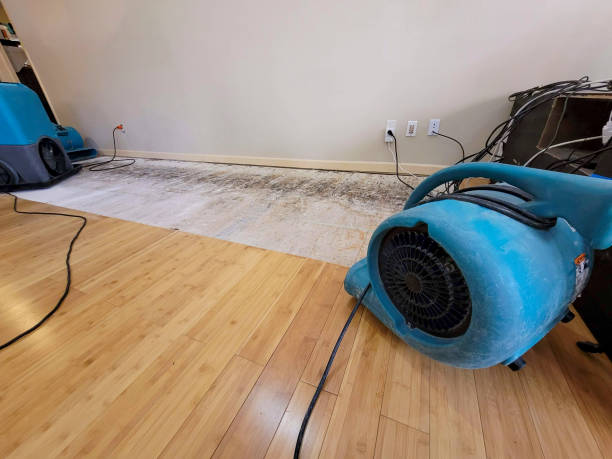 Professional Basement Flood Cleanup technician working in Pottsville, PA